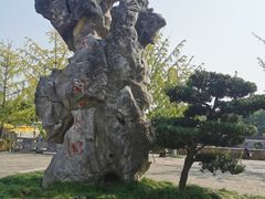 -天一阁博物院