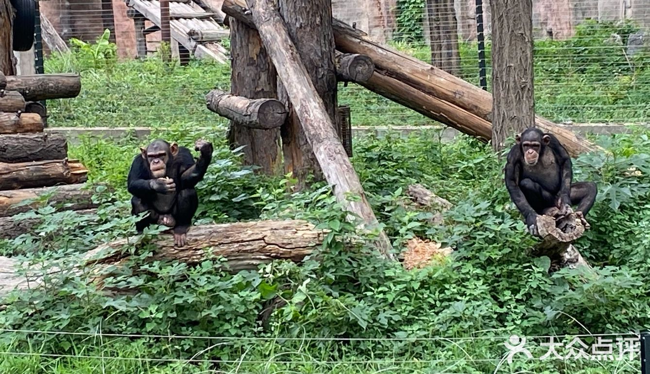 园子里禁止投喂 总有执勤人员盯着乱投喂