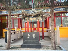 -挂甲禅寺