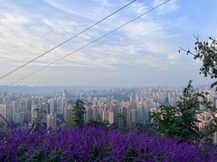 -重庆平顶山公园