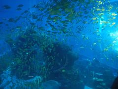 -成都浩海立方海洋公园