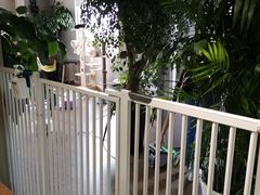 -东方名猫馆·英短金渐层布偶猫舍(环线广场1号楼店)