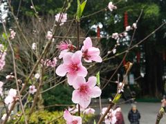 -乌山风景区