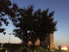 -吉野家(维明街店)