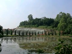 -三水森林公园