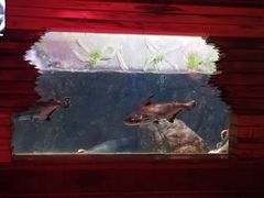 -太平洋海底世界