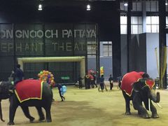 -东芭乐园