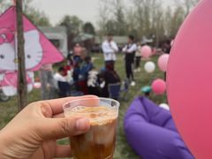 -TIPPI营地 房车主题·露营烧烤团建轰趴(天安假日店)