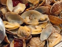 -开海·红岛海鲜虾水饺(石老人店)