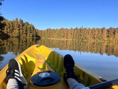 -上海海湾国家森林公园