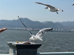 -海埂大坝