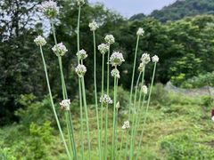 -常德桃花源景区