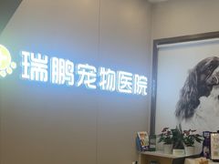 -瑞鹏宠物医院·微创内窥镜·骨外科·牙科(翠竹分院)