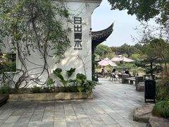 -日出青木