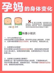 -海豚湾高端月子会所(黄浦店)