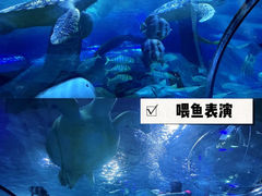 -南京海底世界