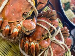 -渔娘蟹庄(阳澄湖莲花岛店)