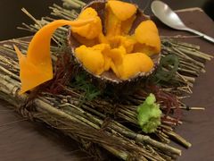 活海胆-希望日本料理(保利香槟花园店)