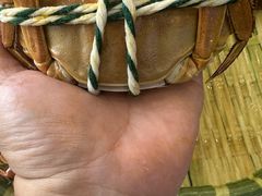 -蟹天蟹地农家菜·阳澄湖大闸蟹(浅水湾店)