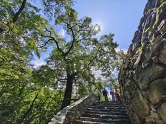 -北京上方山国家森林公园