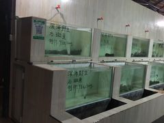 -海盗餐厅