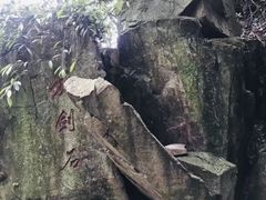 -莫干山风景区
