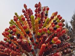 -蒲河大集