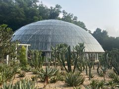-深圳仙湖植物园