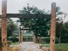 -神仙树公园
