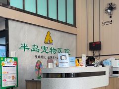 -半岛宠物医院24小时(科华中路店)