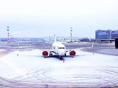 -谢列梅捷沃国际机场