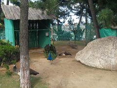 -西霞口神雕山野生动物世界