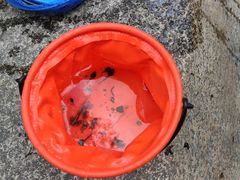 -碓臼峪自然风景区