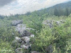 -长虫山生态公园风景林