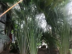 -龙达温泉生态城