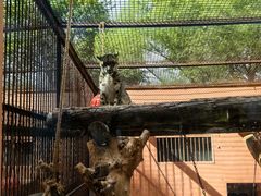-青藏高原野生动物园