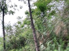 -綦江古剑山