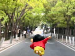 -八大关景区