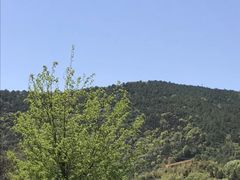 -西湾土八灶· 旺山老字号农家菜