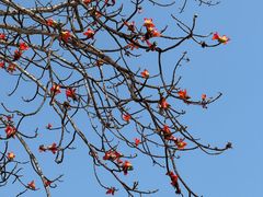 -逸廊大堂吧(三亚海棠湾万丽度假酒店)