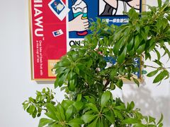 -茶茶巫CHACHAWU(裕华万达店)