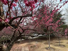 -白塘生态植物园