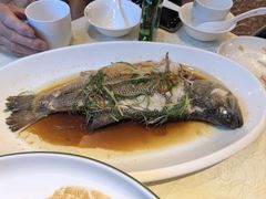 清蒸鲈鱼-粤秀小厨·广式早茶(辽宁路店)
