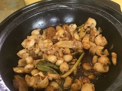 -台山美食一绝阿四台山黄鳝饭(阿四创作店)