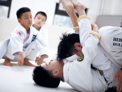 -菠萝格斗巴西柔术训练馆