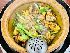 -华仔土鸡店(创意产业园店)