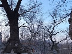 -井塘古村