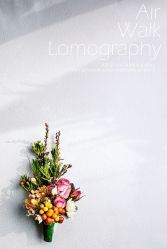 -花屿迷鹿写真馆