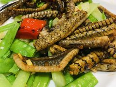 -顺德了能馆(虎门店)