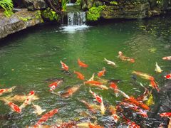 -新世纪大酒楼·30年南海菜